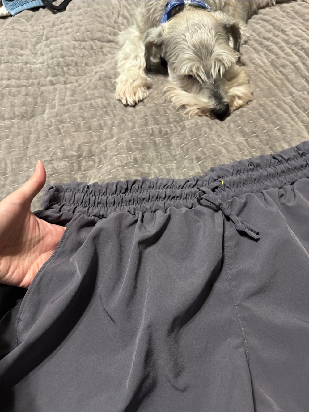 Women's Gray Elastic-Waist Drawstring Athletic Shorts - Picture 5 of 6